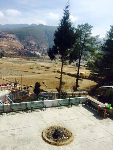 Hotel Samdencholing Hotels  Paro