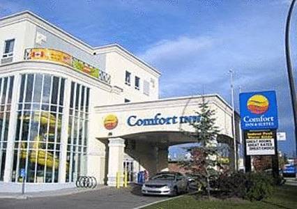 Comfort Inn and Suites University