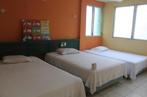 Green Monkey Hostel