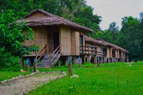 Temple Tiger Green Jungle Resort