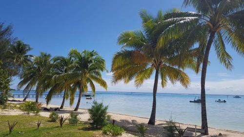 Moorea Sunset Beach