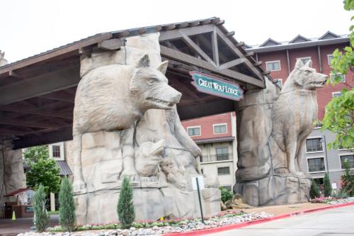 Great Wolf Lodge Grapevine