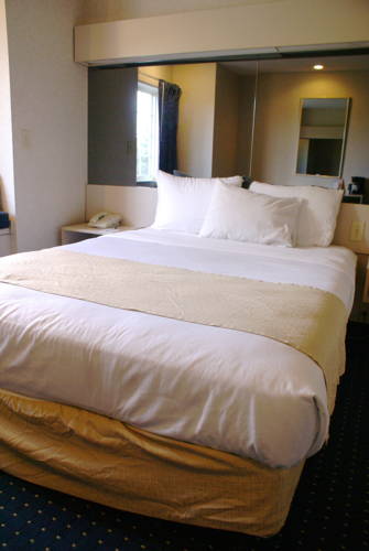 Microtel Inn & Suites by Wyndham Philadelphia Airport