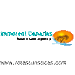 Immorent Canarias Real Estate Gran Canaria