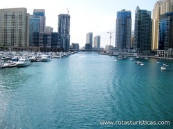 Dubai Marina Yacht Club