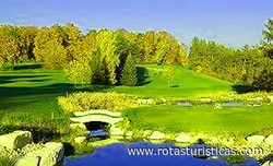 Golf & Country Club Blumisberg