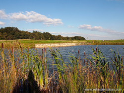 Golf-club an Der Pinnau E.v.