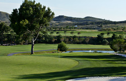 Alenda Golf Club