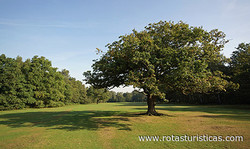 Wimbledon Common Golf Club