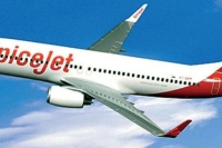 Spicejet