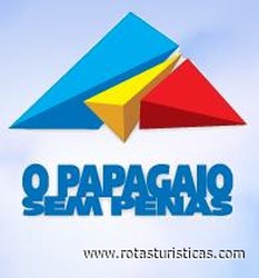 Papagaio Sem Penas Forum Algarve